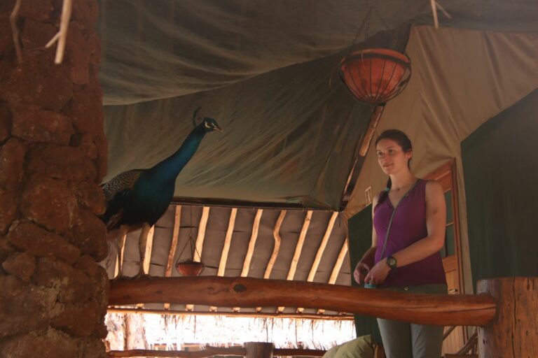 Linnaea looking at a peacock